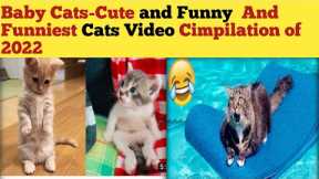 Baby Cats-Cute and Funny and Funniest Cats Video Compilation