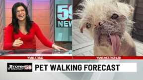 Funniest News Bloopers January 2023