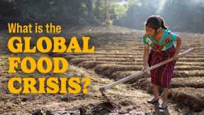 What is the Global Food Crisis and How Can We Help?